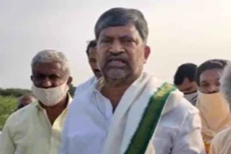 L. Ramana inspecting rain-damaged crops in Karimnagar district