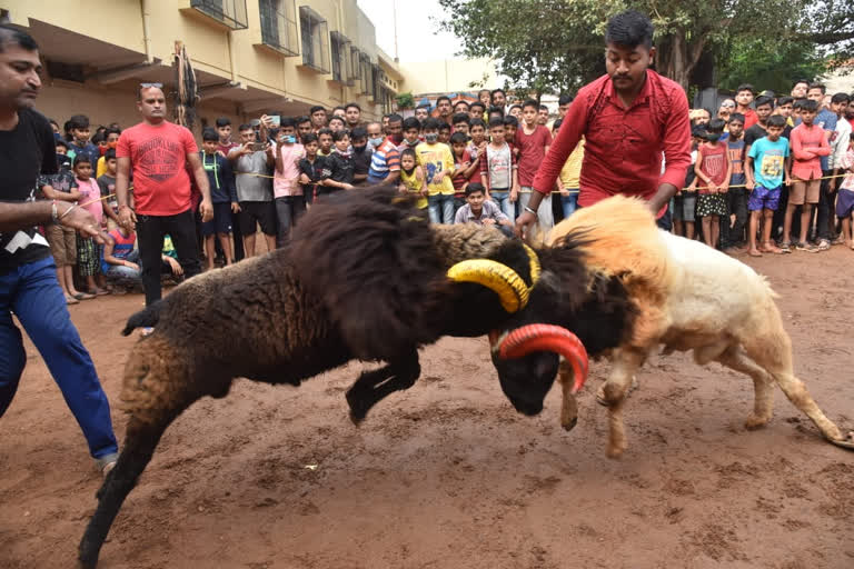 typical Dussehra rituals in Hubli