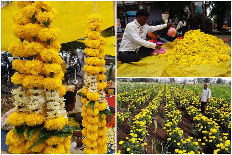 marigold flowers