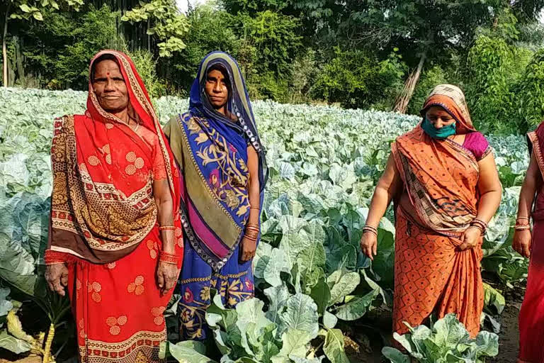 Training is being given to women