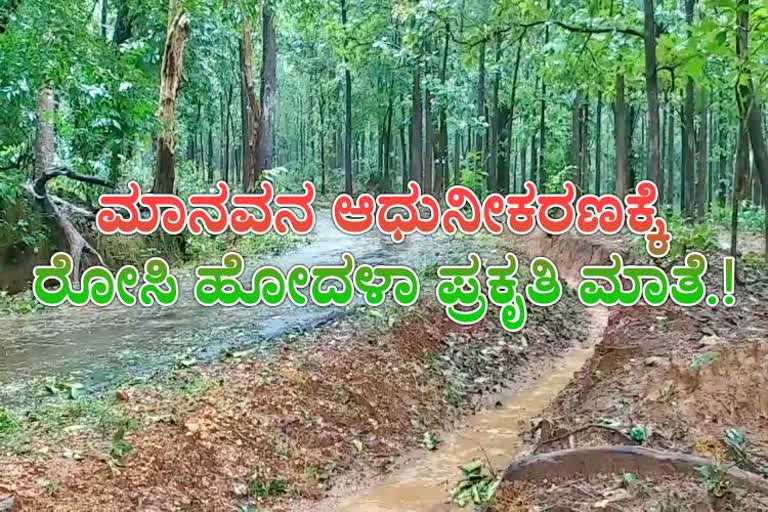 deforestation in the name of development