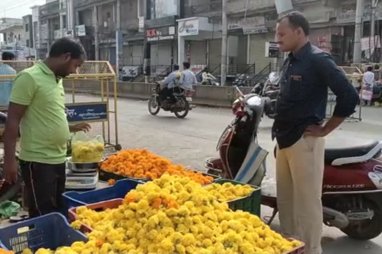 वाशिम जिल्ह्यात झेंडूला 100 रुपये दर