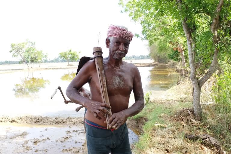 paddy moiture central team farmers indictment