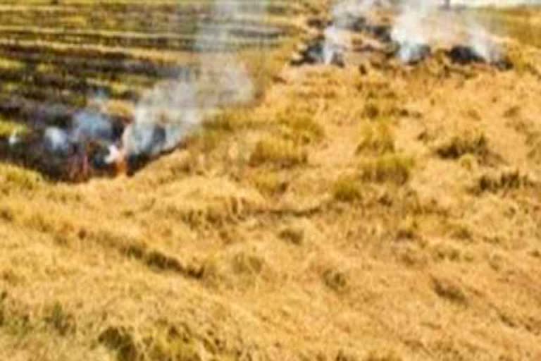 श्रीगंगानगर में पराली जलाने पर प्रतिबंध, Ban on burning of straw in Sriganganagar, Rajasthan News