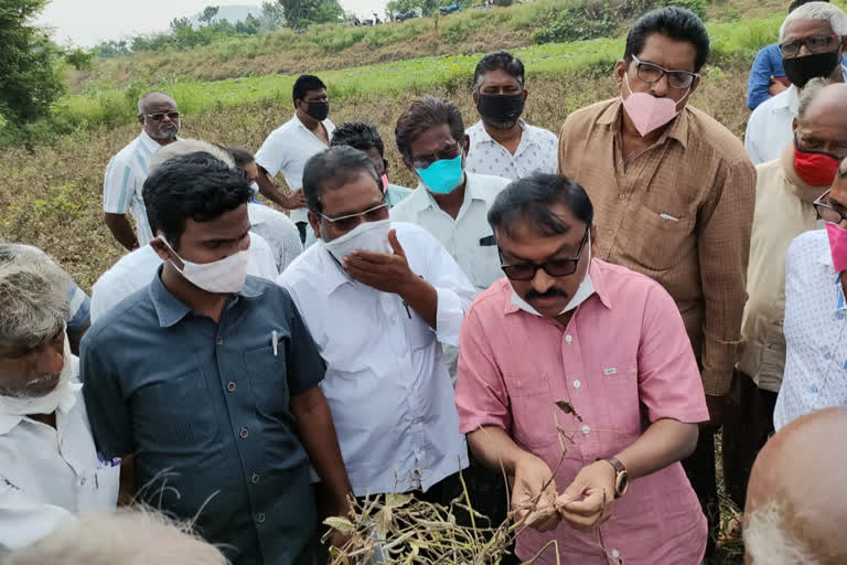 collector visit crop damage