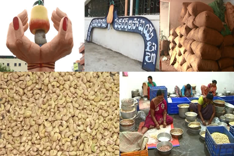 Palasa cashew industry in trouble