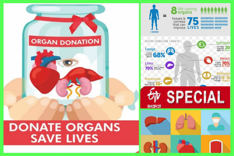 donate organs because huge gap between organ demand and supply