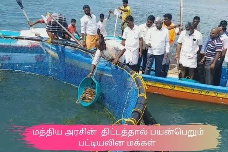 sc comminity fishers farming singi eral