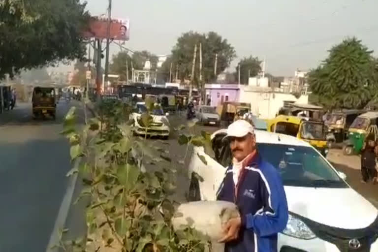 gurugram people planting trees  on their birthday