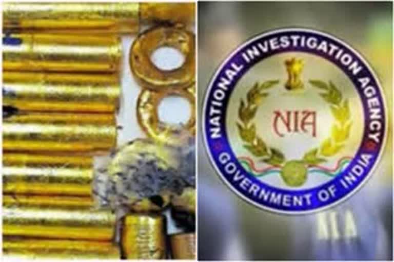 Gold smuggling case  main accused arrested  nia investigation in kerala  nia court news  സ്വര്‍ണക്കടത്ത്  എൻഐഎ വാര്‍ത്തകള്‍  റബിൻസ് അറസ്‌റ്റില്‍