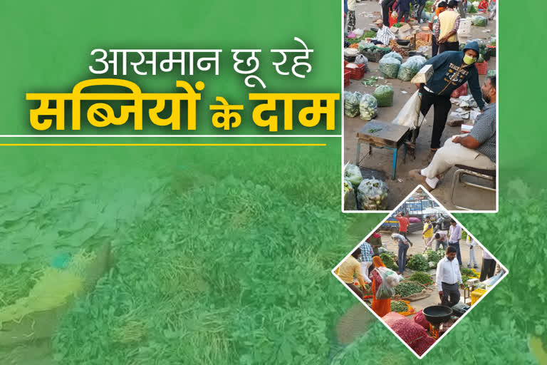 vegetable price in rajasthan,  vegetable price hike