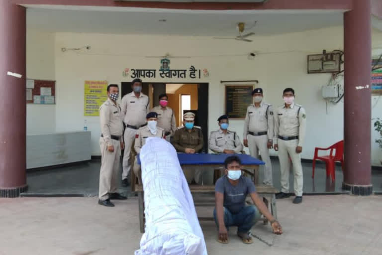 accused arrested with hemp plant in surajpur