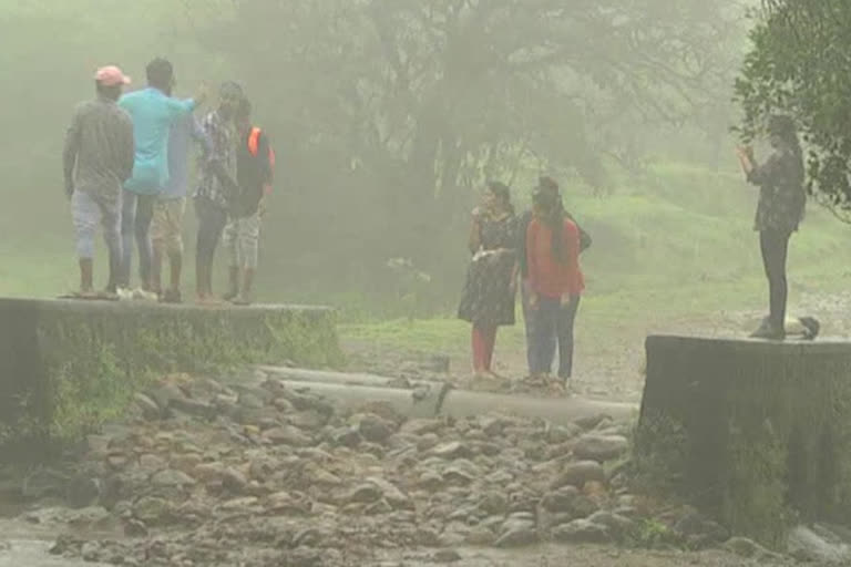 tourists visit kanakumbi forest area