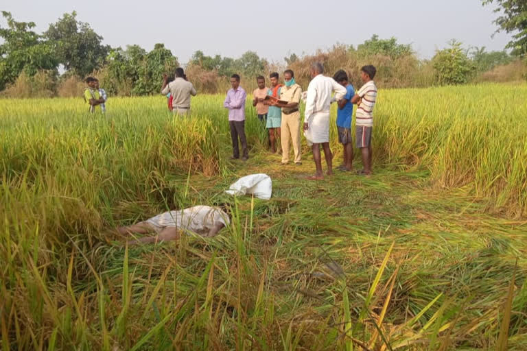 Elephant killed villager in Mahasamund