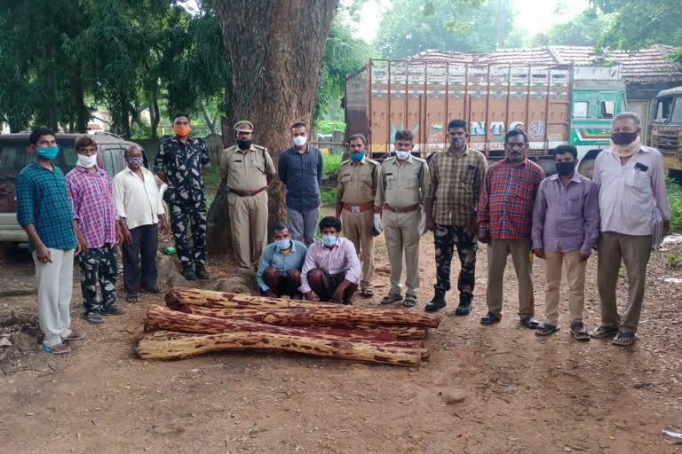 one lakh fiftyfive thousands rupees cost of red sandle wood seized by forest officers at kadapa