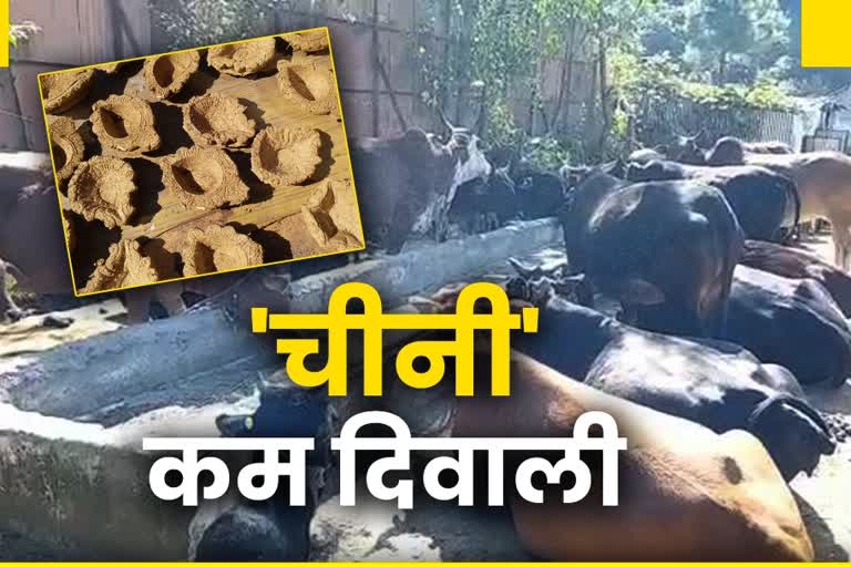 diwali will be celebrated with lamps made from cow dung in shimla