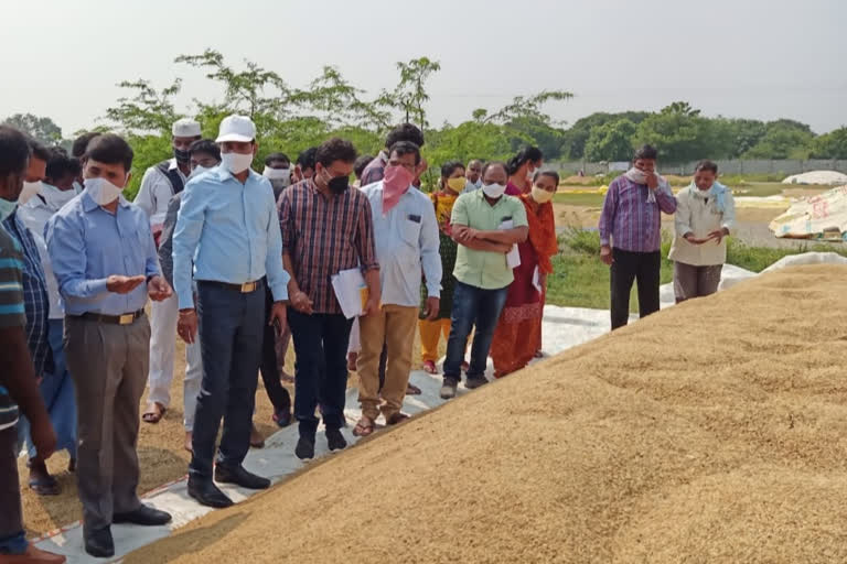 nizamabad district collector narayana reddy visited ikp centers