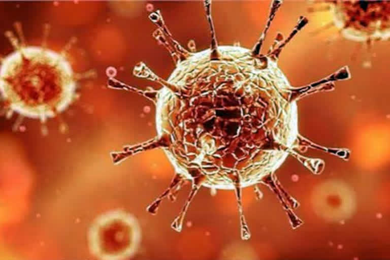 Andhra reports 2  901 new coronavirus cases  19 more deaths  അമരാവതി  ആന്ധ്രാ