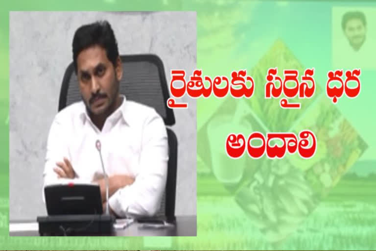 cm jagan