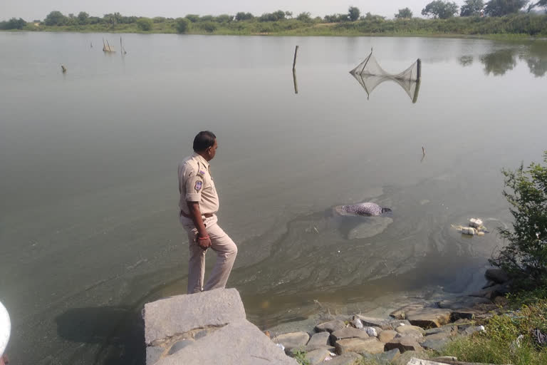 unknown diabody found in pocharam project in kamareddy district