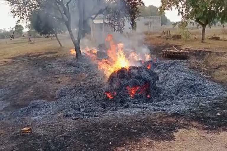 dry fodder caught fire, arson in dholpur