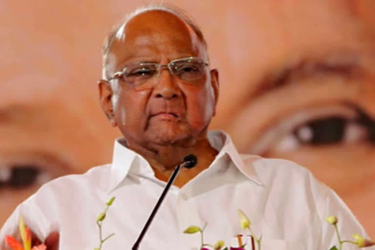 Pawar blames Centre's policies for soaring onion prices