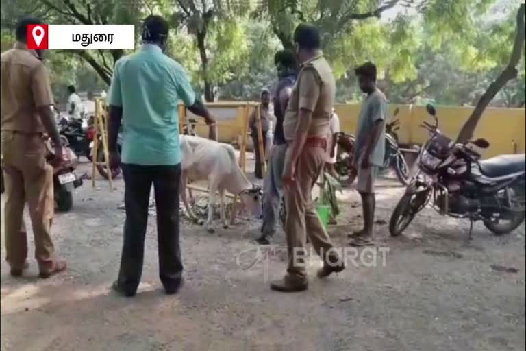 மதுரையை கலக்கும் சுவாரசியம்