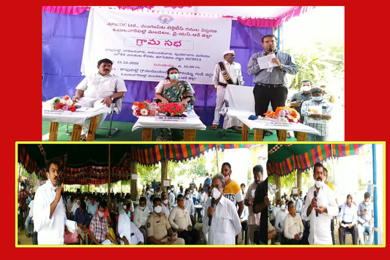 Gram Sabha on the problems of Mangampeta peoples