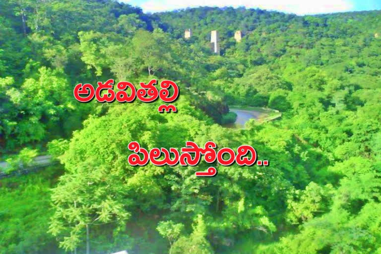 Telangana forest department permits tourists