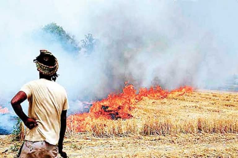 Delhi under siege of pollution