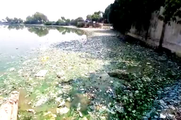 pond of kekri, अजमेर न्यूज