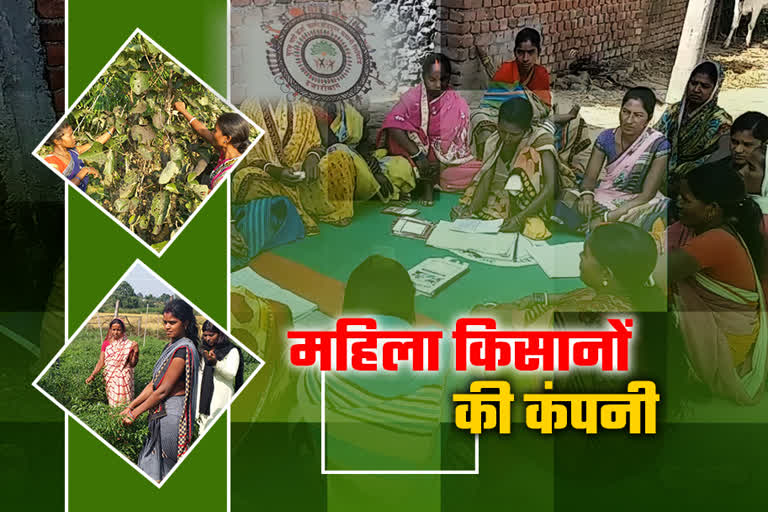 women-farmers-formed-their-own-company-in-hazaribag