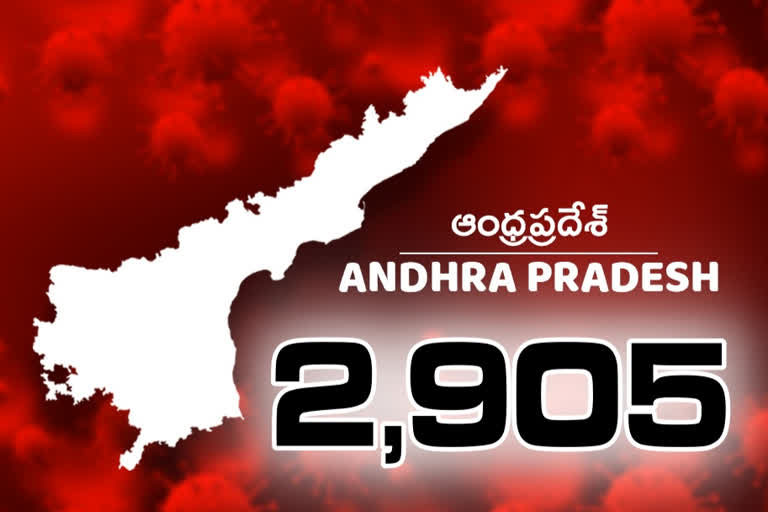 2,905 new corona cases reported in ap today, and 16 members died