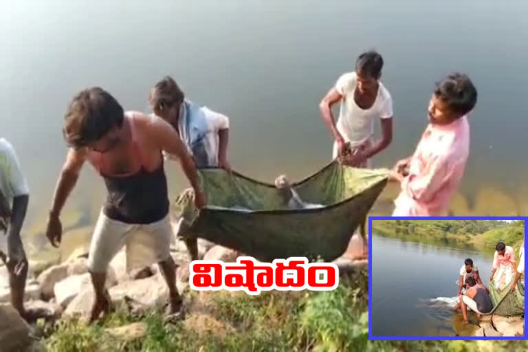 a man accidentally fell into a pond and died at perapalla village in narayanapeta district