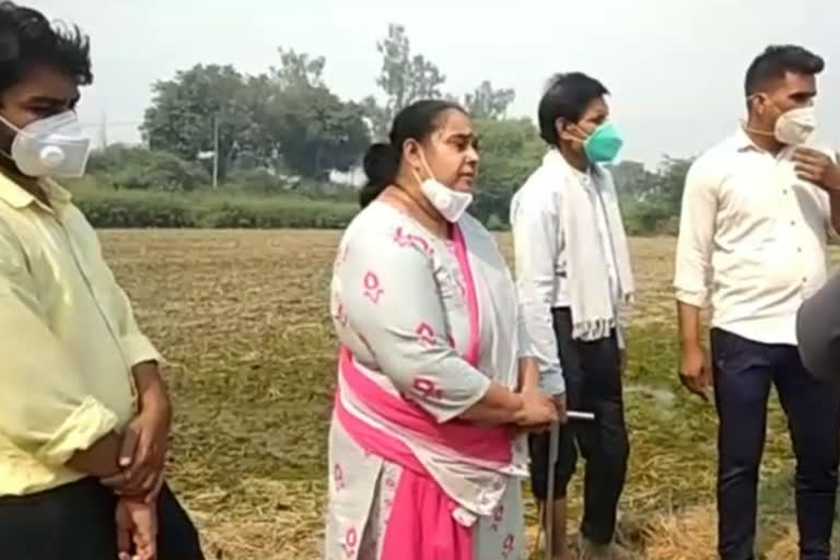 Scientists of Pusa visited Hiranki Parali field in delhi