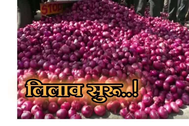 lasalgaon onion market