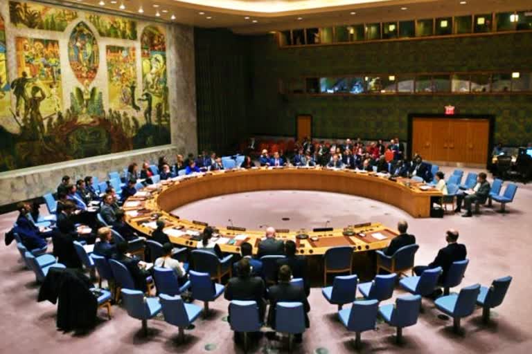 India stresses Security Council