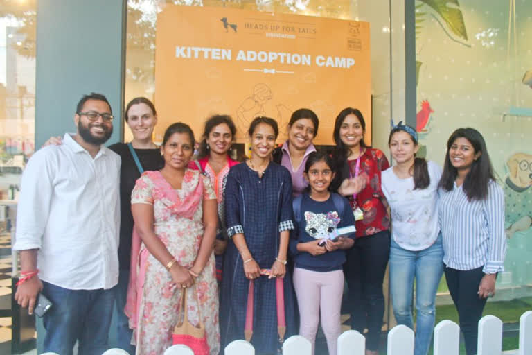 techie vijaya set up NGO for orphan cats