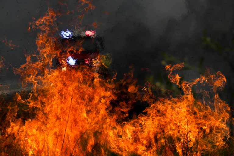 Australia wildfires