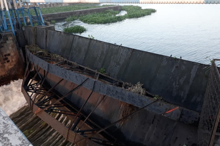 Durgapur Barrage lockgate broken again