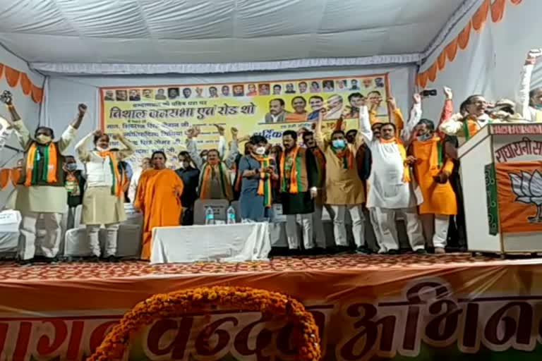 Madhya Pradesh BJP assembly