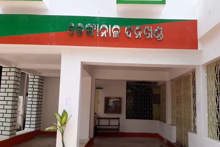 ହାତୀ କାବୁ କରିବାକୁ ଯାଇ ଶିକାରୀ କାବୁ