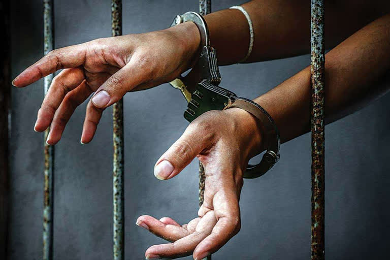 Hizbul terrorist arrested in Jammu and Kashmir