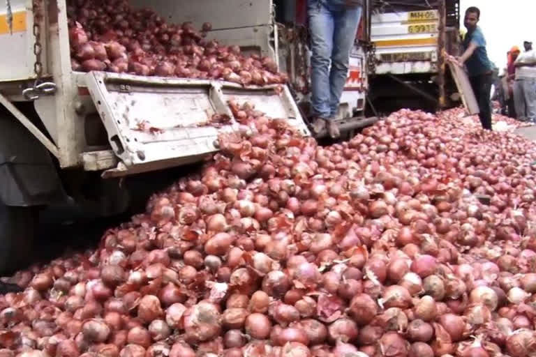 ONION PURCHASE IN MAHARASHTRA