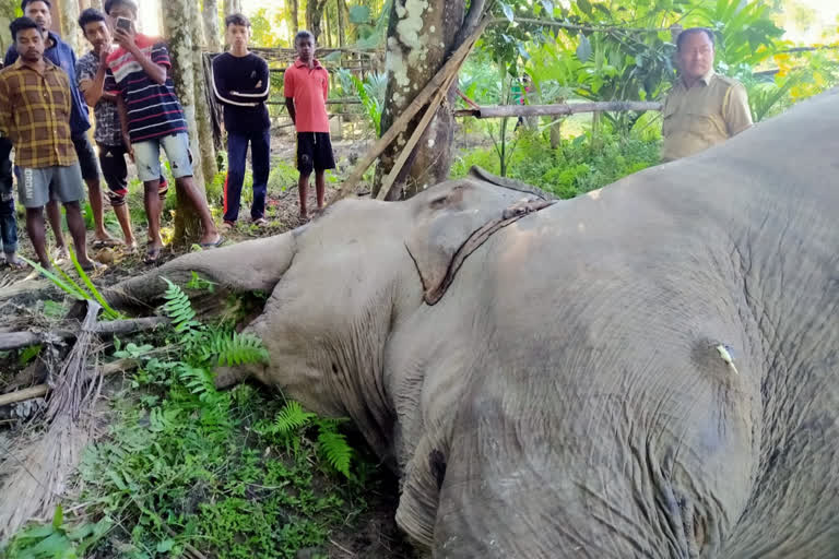 ছবি