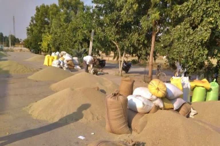 officials visited nangal chaudhary market on disturbance in procurement of millet