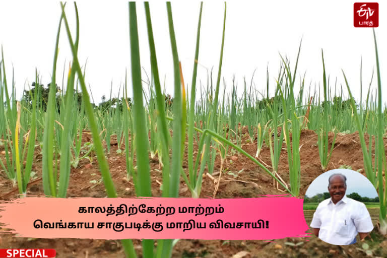 onion_farmer