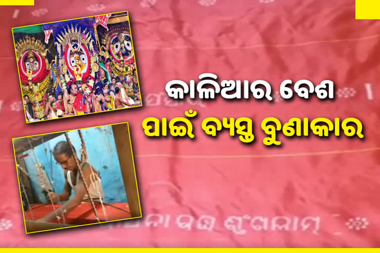 26 ବର୍ଷ ପରେ ମହାପ୍ରଭୁଙ୍କ ଦୁର୍ଲଭ ନାଗାର୍ଜୁନ ବେଶ, ଚଳଚଞ୍ଚଳ ବୁଣାକାର