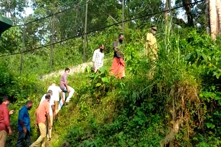 neyyar safari park tiger went missing incident  neyyar safari park tiger  Tiger escaped from Neyyar Lion Safari Park  നെയ്യാര്‍ സഫാരി പാര്‍ക്ക് കടുവ  കടുവയെ പിടികൂടാന്‍ ശ്രമം  നെയ്യാര്‍ കടുവ പിടികൂടിയില്ല