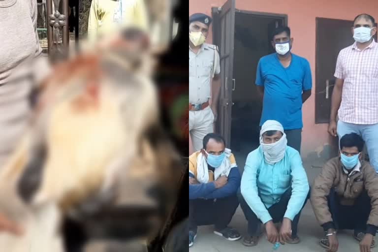 Three accused of killing langur arrested in Bhiwani